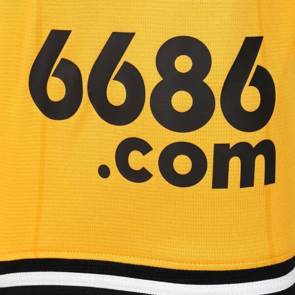Wolverhampton Wanderers Jersey Home 23/24