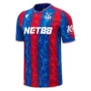 Crystal Palace Fc Jersey