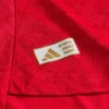 Calafiori Jersey 25/26 Home – Player Edition
