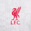 Liverpool White Jersey 24/25 Third – Player Edition
