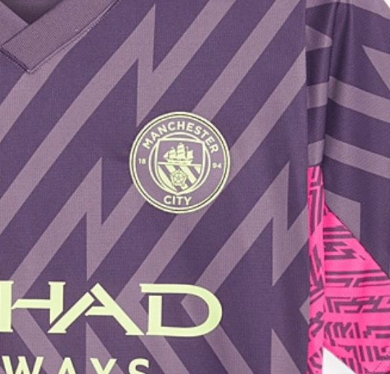 Manchester City Purple Jersey - Goalkeeper Edition