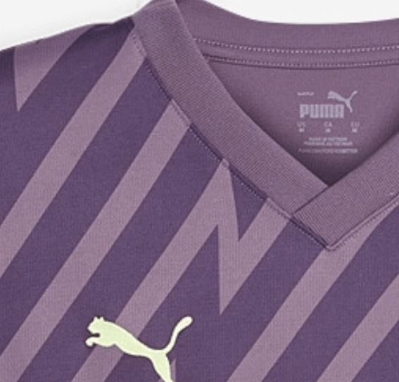 Manchester City Purple Jersey - Goalkeeper Edition