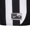 Botafogo jersey 25/26 Home - Player Edition