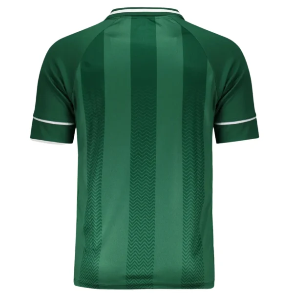 Chapecoense Jersey 2025 Home - Player Edition